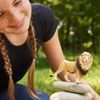 Schleich 14812 - Lion