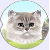 E&S Pets Absorbent Stone CAR Coaster-Persian Cat