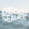 Beco 9804 Swimming Aid Sealife 1 Pair without Colour