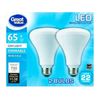 Great Value LED Light Bulbs, 9W (65W Equivalent), Dimmable, Daylight, 2-Pack