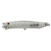 Tackle House Feed Popper 100 22