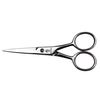 Hans Kniebes Sonnenschein Beard and Moustache Scissors