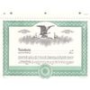 Duke 2 Stock Certificates | Pack of 25