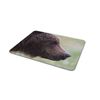 Wild Brown Bear Mouse Mat Pad - Animal Bears Canada Dad Son Computer #14176