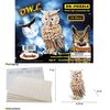 Puzzled Owl Wooden 3D Puzzle Construction Kit Model Set