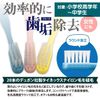 Ci Jr. Toothbrush 12pcs 3 Assorted Colors Slim Head