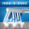 Oral B Toothbrush, Cross Action, Compact (*Color cannot be selected), 1 Piece