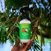 Locsanity Grapefruit Coconut & Lime Daily Moisturizing Spray Fine Mist