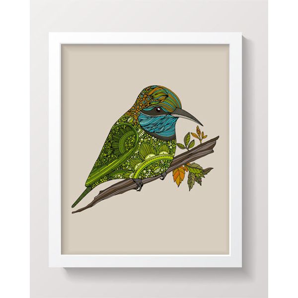 Paulo the Asian green bee eater