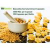 tnvitamins Boswellia Serrata Herbal Extract Capsules | 1200 MG/Capsule (120 Capsules) | Joint Support Supplement* | Ayurvedic Herb: Indian Olibanum/Frankincense