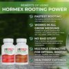 Hormex Rooting Powder #8 and #16 Pack - For Difficult to Root Plants - IBA