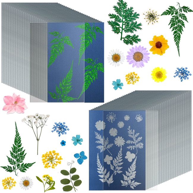 38 Sheets Cyanotype Paper A5 Sun Print Paper Kit with 2 Clear Acrylic Sheets High Sensitivity Solar Drawing Paper Nature Sun Printing Paper for Adults Kids DIY Arts and Crafts Project, 5.8 x 8.3 Inch