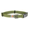 Carhartt Nylon Duck Dog Collar, Light Moss, Medium
