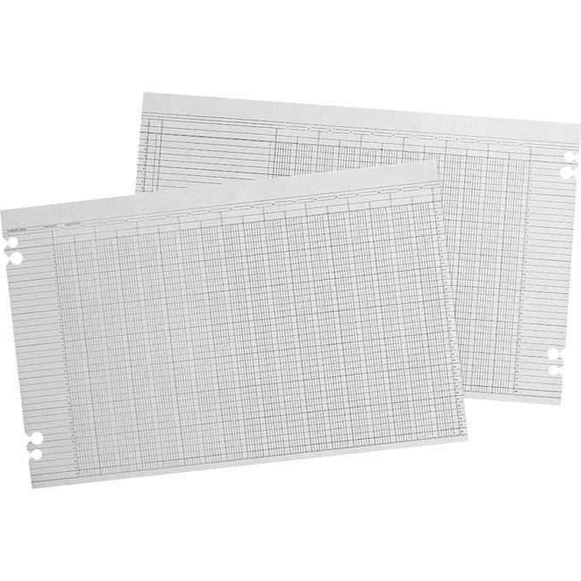 Wilson Jones Columnar Ruled Sheets, 11" x 17", 36 Lines, 30 Columns, 100/Pack (W50-30A)