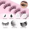 Oreola Half Lashes Natural Look Wispy Cat Eye Lashes 10 Pairs Transparent Clear Band False Eyelashes 3/4 Demi Wispies Eyelashes Reusable 3D Faux Mink Lashes Look Like Lashes Cluster