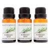 Rosemary Mint (Made in USA) 3 Bottles 1/2 Fl Oz Each (15ml) Premium Grade Scented Fragrance Oil (Resinous Herbal Spiked with Mint. Clean and Fresh)