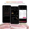 Wireless Smart Meat Thermometer with Dual Probes