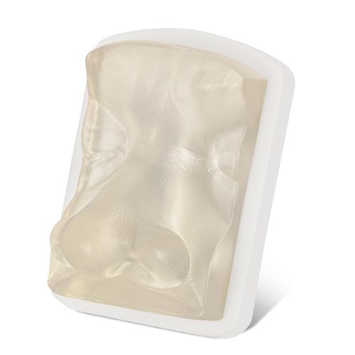 MedEduQuest Transparent Facial Injection Model, Facial Training Nose Model for Injection and Filler Practice, Used for Micro Plastic Surgery Teaching, Beautician Teaching, Medical Students Doctors