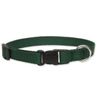 LupinePet Basics 1/2" Purple 6-9" Adjustable Collar for Extra Small Dogs