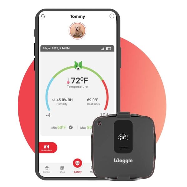 Waggle RV/Dog Safety Temperature & Humidity Sensor | Wireless Pet monitoring system | Verizon Cellular | Instant Alerts on Temp/Humidity/Power loss via SMS/Email 24/7 | No WiFi | Subscription Required