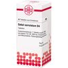 DHU Sabal serrulatum D4 Tabletten, 80 St. Tabletten