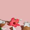 SheaMoisture Moisturize and Define Shampoo, Conditioner and Styling Milk for