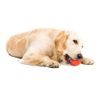 Omega Paw Tricky Treat Ball - Medium