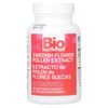 Swedish Flower Pollen Extract, 500 mg , 60 Vegetarian Capsules