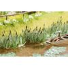 Noch 14608 Reed Landscape Modelling