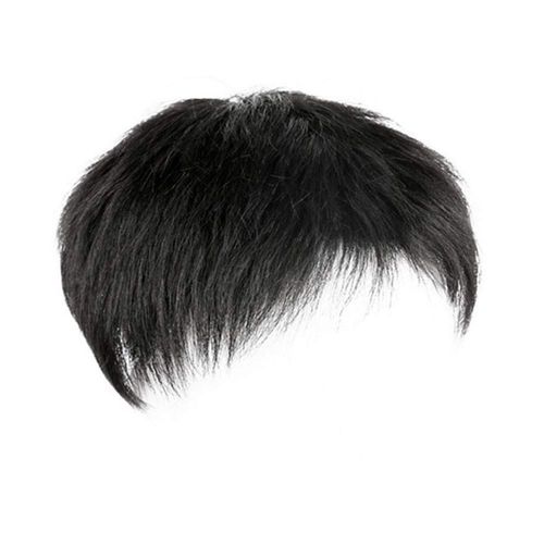 Remeehi Men's Wig, Hairpiece, Men's Wig, Point Wig, Human Hair Wig, Short Hair, Straight, Hidden Gray Hair, Forehead Cover, Top of Head Cover, Middle Aged Wig, Artificial Scalp, Pull, Hand Planted Wig