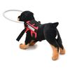 Ring Harness for Blind Dogs, Safety Guiding Device with Adjustable Ring - Red, Small