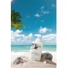 SUTUS Oil Control Shampoo, Fresh & Balanced