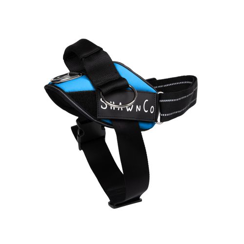 ShawnCo Essential Pro Dog Harness, No-Pull Pet Vest with 3 Leash Clips and Removable, Reflective Side Patches, Adjustable and Padded Harness for Small, Medium and Large Dogs (Oceanic Blue, L)