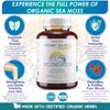 Irish Sea Moss Organic Bladderwrack Burdock Root 120 Capsules - Wildcrafted S...