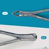 DEXA DENTAL Heavy Duty Dental Extracting Forceps # 151 Apical Forcep