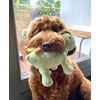 Fuzzyard Dinosaur Squeak Dog Toy (Stannis The Stegosaurus)