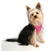 Rogz Lapz Trendy Wrapz Harness, Small, Black Bones