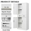 Metal Storage Cabinets with Drawer & Adjustable Shelves, Locking Storage Cabinet