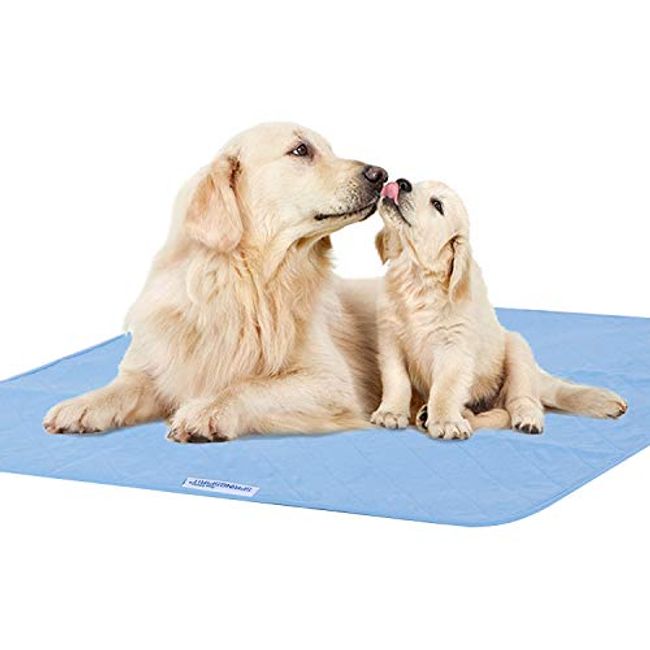 Bed Pads Washable Waterproof(2 Pack 34 x 36) Washable and Reusable Anti Slip Incontinence Underpad Sheet Protector for Adults Elderly Kids