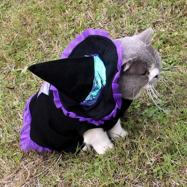 Christmas Enchanter Pet Halloween Dog Costume - Purple / L