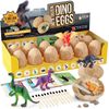 Dig a Dozen Dino Egg Kit - Easter Dinosaur Dig up 12 Eggs & Discover Dinosaurs 