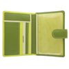 VISCONTI Rainbow Collection Leather SUMBA Passport Holder RFID Blocking RB75 Lime Multi