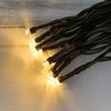 Light String Battery Operated Timer Clear LED Bulbs Brown Cord 20 Ct 8 Functions