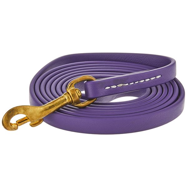 J&J Dog Supplies Biothane Dog Leash, 1/2" Wide by 6' Long, Purple