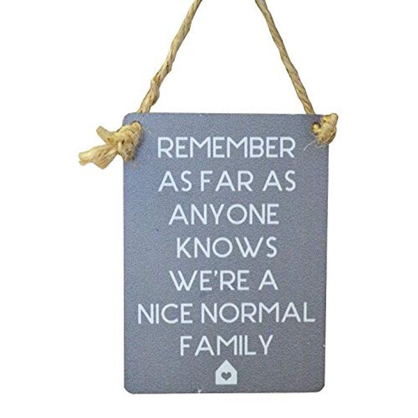 Mini Metal Hanging Sign - Remember we are a nice normal family