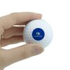 GRAPHICS & MORE Eastern Illinois University Panthers Logo Novelty Golf Balls 3 Pack