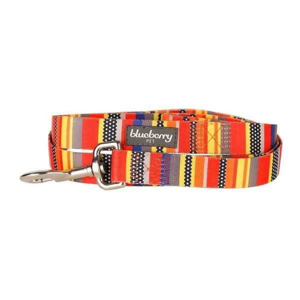 Blueberry Pet Essentials Durable Nautical Flags Inspired Designer Dog Leash 5 ft x 5/8", Small, Leashes for Dogs