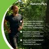 Natures Plus T Male, 1 EA
