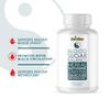 Blood Sugar Balance- Blood Support- 60 Capsules