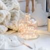 Tenergy 2 Pack Battery Operated LED String Lights